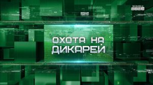 «Охота на дикарей»: первые «подснежники» на тротуарах