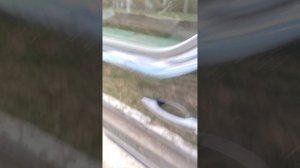 31403.mp4