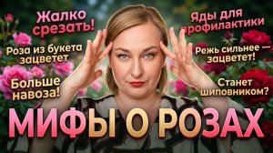 6 мифов о розах, которые убивают ваш сад. Перестаньте это делать!