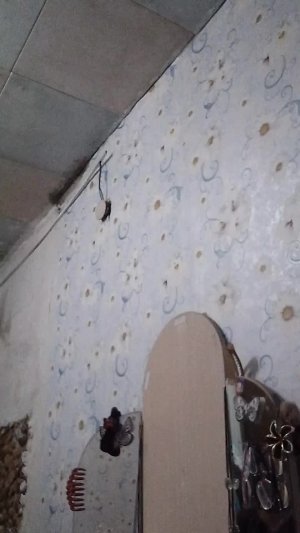 я делаю уроки