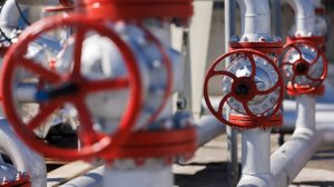 Бангладеш подключился к переговорам с Россией о поставках нефтепродуктов