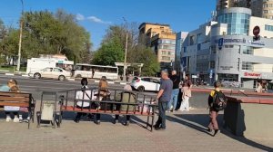 Пионовидные тюльпаны 06.05.26.