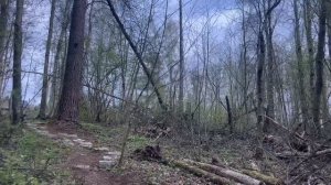 06-05-2026 Большой  дом с выходом в лес в Светлом
