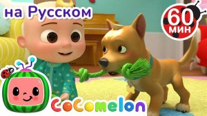 Мой Пёс Бинго # Сборник 1 Час # CoComelon на русском — Детские песенки # Мультики для детей