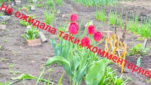 ЗАВИСТЬ? ИЛИ БОЛЕЗНЬ?