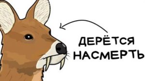 Ты — Водяной Олень (И ЭТО ВСЯ ТВОЯ ЖИЗНЬ)