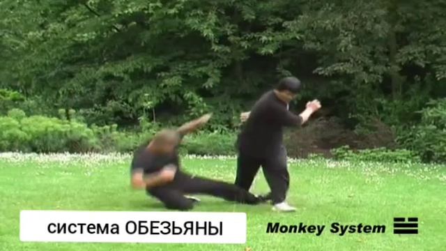 Система Обезьяны. Хэ Цзиньбао