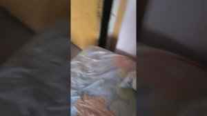классные шорты 🫣😳😅🙄