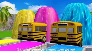 Залипательное видео для детей животные