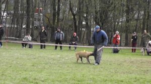 05-02-2026_ЧР по БРР Группа Б Первый участник 3 этап