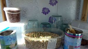 Мой посадочный семенной фонд