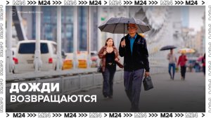 Синоптик рассказал о погоде в Москве в ближайшее время - Москва 24