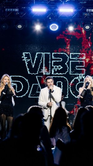 Кавер-группа VIBE DANCE (LIVE )