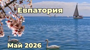 Евпатория 2026,Что СЕЙЧАС ПРОИСХОДИТ на курорте?прогулка по цветущему городу,НОВЫЙ  верёвочный ПАРК.