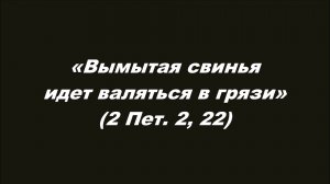 «Вымытая свинья идет валяться в грязи» (2 Пет. 2, 22)