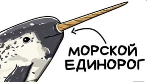 Ты - Нарвал (И ЭТО ВСЯ ТВОЯ ЖИЗНЬ)