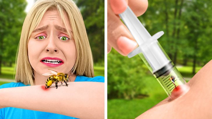 Как избавиться от насекомых: лучшие лайфхаки 🐜