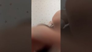 1000014496.mp4
