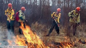 В Забайкальском крае ликвидировали природный пожар на площади 8000 гектаров.