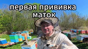 матководству быть!!!! #пчеловодство #топ
