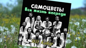 Вся жизнь впереди (Самоцветы) - ИИ Кавер  Neuroalchemist & Эдуард Шилец
