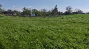 Спланировал фундамент, доделал опалубку, скоро будет сенокос.
