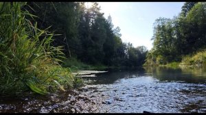 Л. Мартынов. Ты видишь...