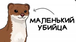 Ты - Ласка (И ЭТО ВСЯ ТВОЯ ЖИЗНЬ)