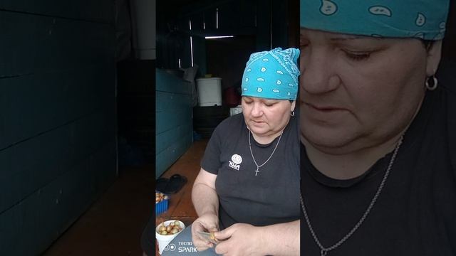 Лук обрезаю для посадки 👍 смотреть онлайн