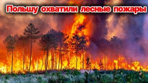 В Польше разразился масштабный лесной пожар❗ Погиб пилот пожарного самолета❗