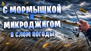 поиск РЫБЫ в слом погоды с МОРМЫШКОЙ и МИКРОДЖИГОМ. Рыба сама «липнет» ко мне, даже толстолобик ...