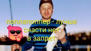 Рыбалка на попла поппер! Лучшая снасть в запрет ☺️☝️
