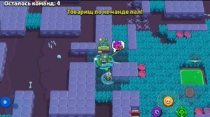 бравл