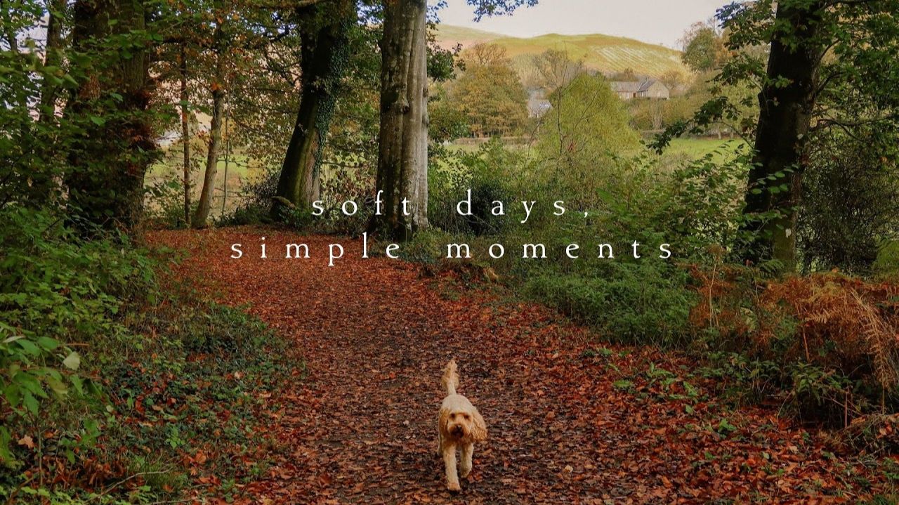 Soft days, simple moments | Piano Playlist
