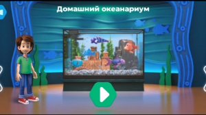 Фиксики. Музей мирового океана. Домашний оквариум.