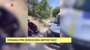 Украина при Зеленском: воруют все!