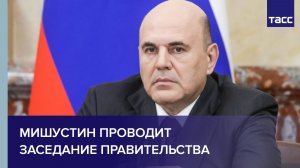 Мишустин проводит заседание правительства