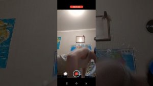 сколько раз я отжимаюсь