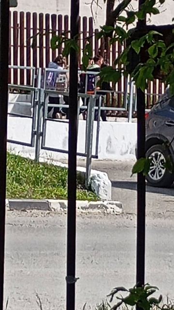 баюсь камиры
