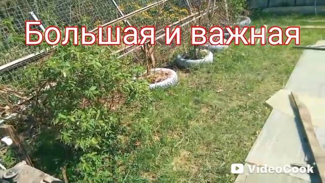 Чиним забор. Появились рыбки в прудике