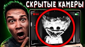 СКРЫТАЯ КАМЕРА сняла ХАГГИ ВАГГИ в реальной жизни ХАГИ ВАГИ ПРИШЕЛ ЗА НАМИ Дом Кадиллак МЕКСИКА