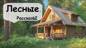 Лесные рассказы 🌹 Рассказчик   Подкаст  Аудиокнига   Живой голос