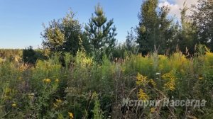 Вбежав в кабинет начальника, уволенная уборщица увидела умирающего богача. А заметив ухмылку жены