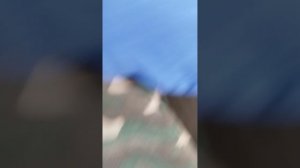 клбшб т