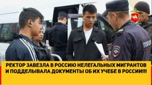 РЕКТОР ЗАВЕЗЛА В РОССИЮ НЕЛЕГАЛЬНЫХ МИГРАНТОВ И ПОДДЕЛЫВАЛА ДОКУМЕНТЫ ОБ ИХ УЧЕБЕ В РОССИИ!!!