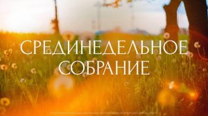Срединедельное собрание. Трансляция Санкт-Петербургской церкви Христа