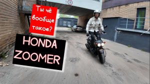 Скутер для апокалипсиса...Honda Zoomer