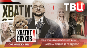 «Хватит слухов!»: Как Киркоров превратил собаку в модный аксессуар?