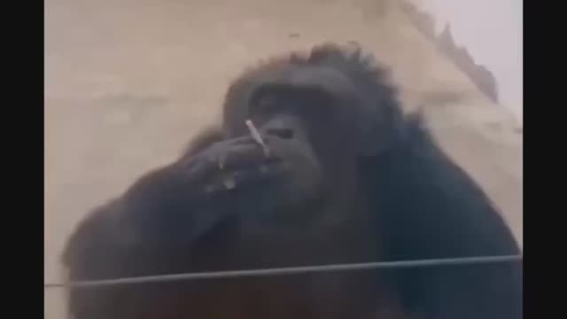 КОГДА ОХВАТИЛА ДЕПРЕССИЯ =)))