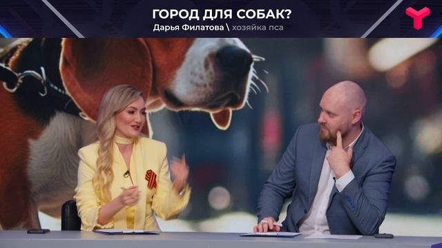 Собака есть, а инфраструктуры нет смотреть онлайн